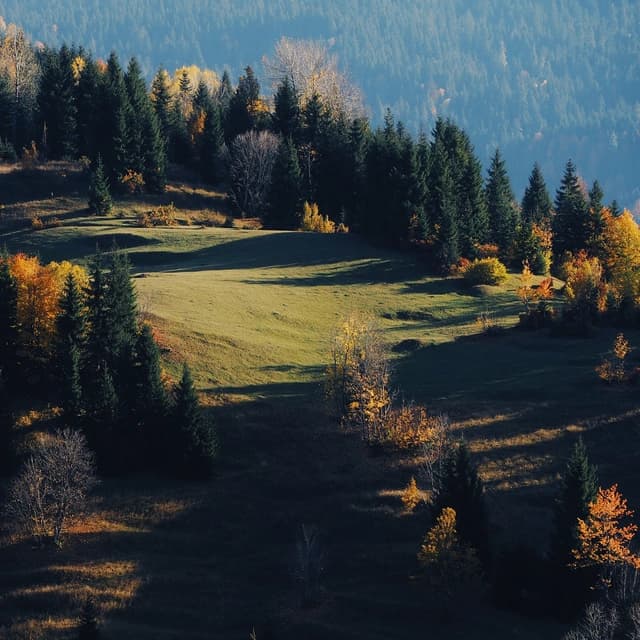 Alpine Garden, Goderdzi