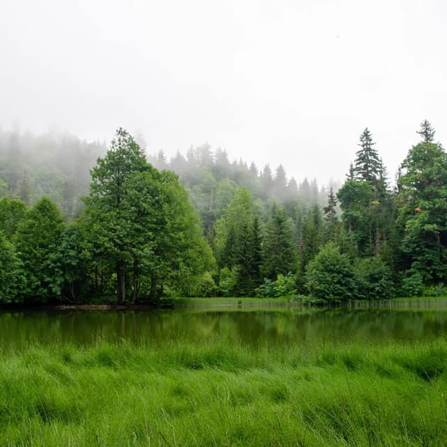 Black Lake, Goderdzi